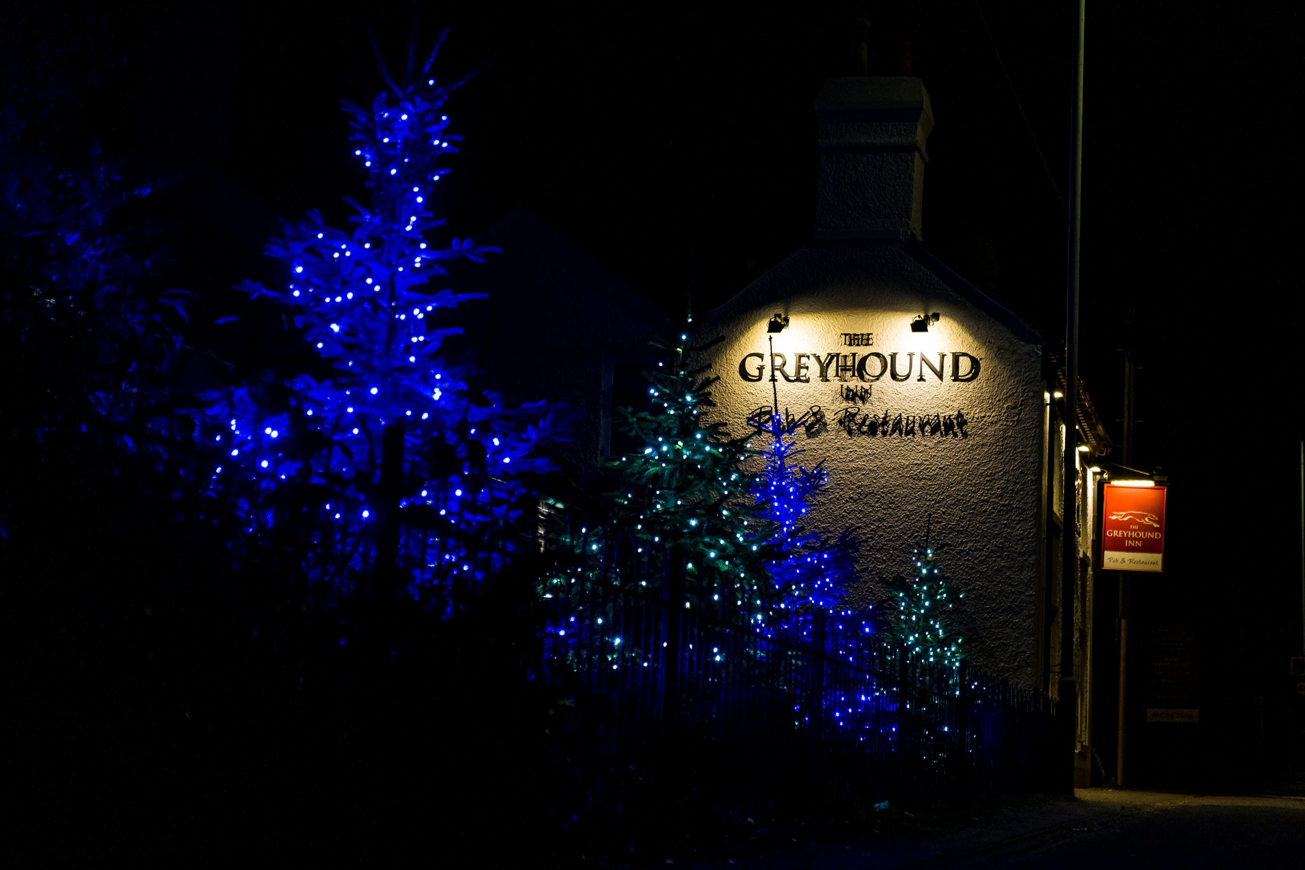121 Greyhound Christmas 2019 scaled